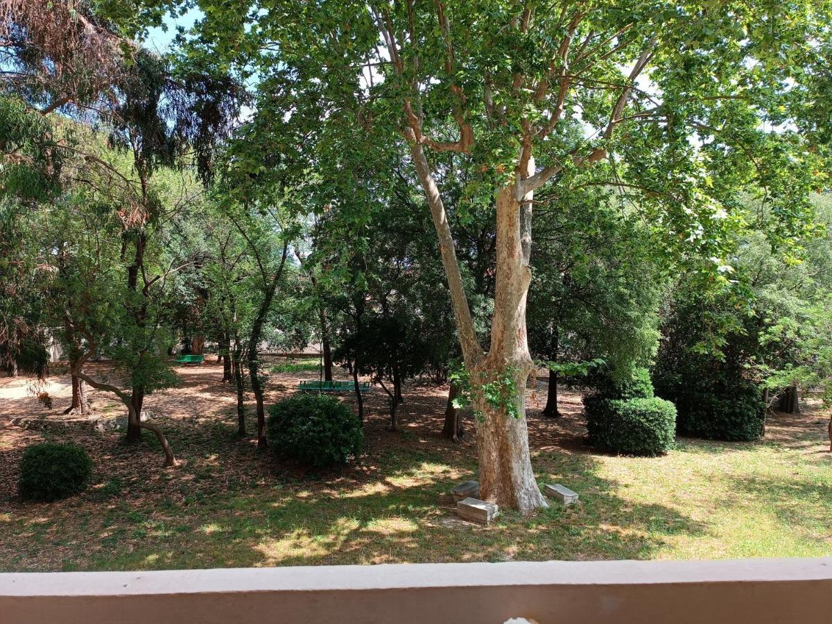 דירות טולון Chez Isa מראה חיצוני תמונה