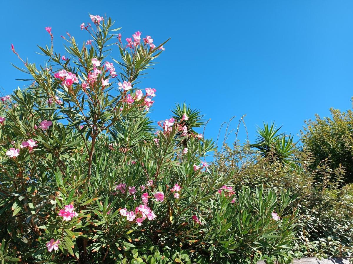 דירות טולון Chez Isa מראה חיצוני תמונה